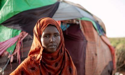 charity virtual gifts|actionaid gifts in action.